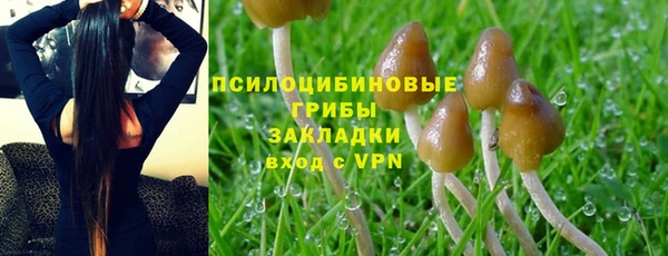 гидра Наволоки
