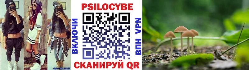 мориарти какой сайт Агидель Псилоцибиновые грибы MAGIC MUSHROOMS что такое наркотик